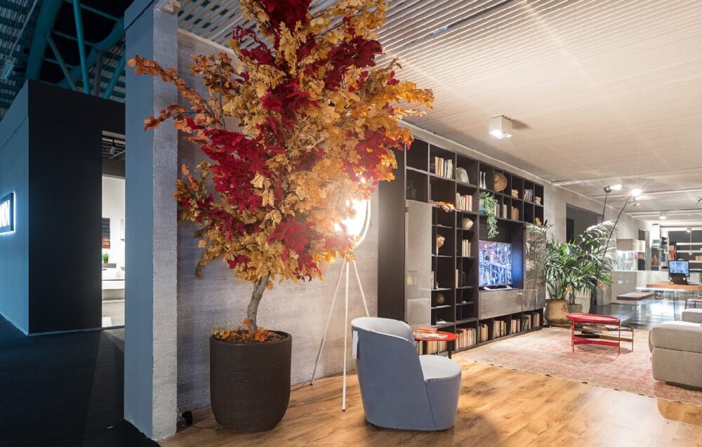 Ako stabilizovať rastliny Blog