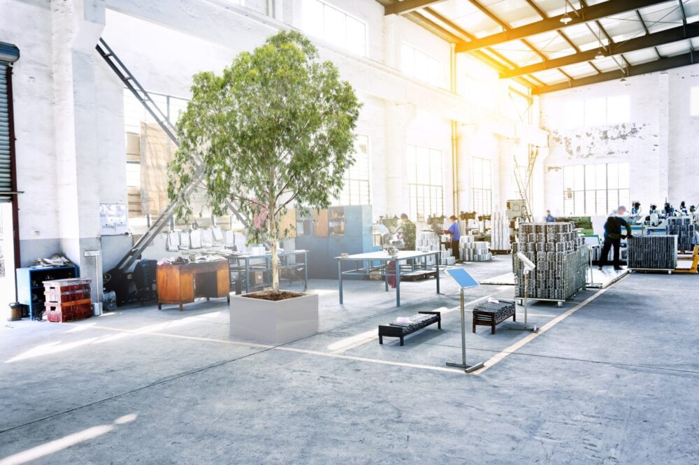 Ako stabilizovať rastliny