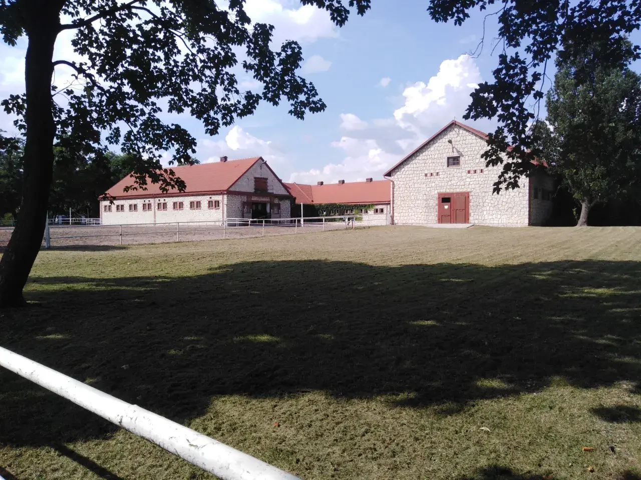 Arabské kone v Poľsku