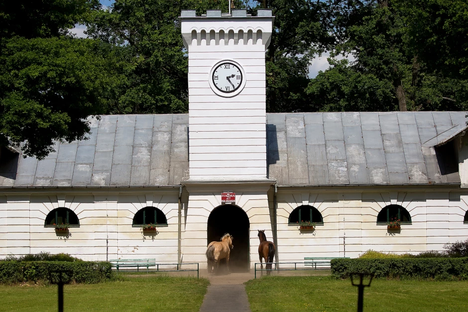 Arabské konské farmy v Poľsku