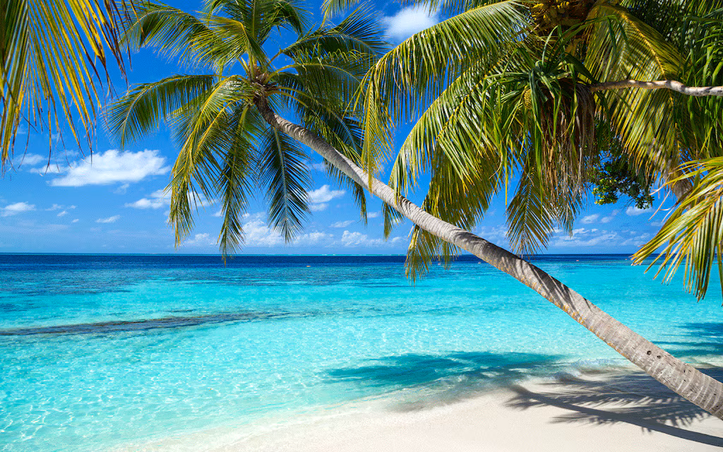 Dovolenka v Karibiku