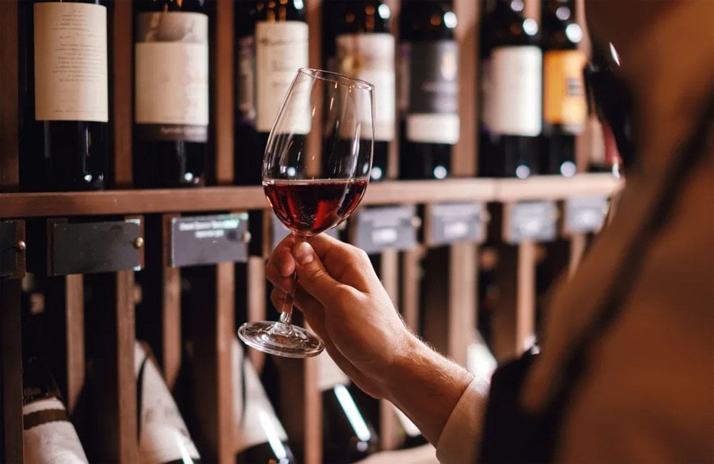 Investovanie do vína