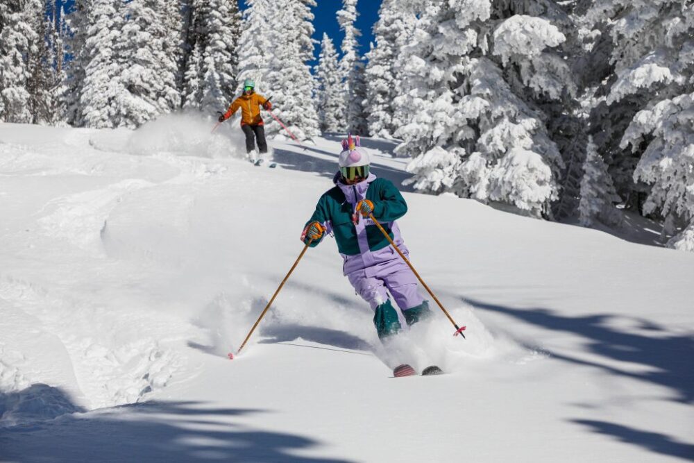 Koľko stoja prémiové lyže