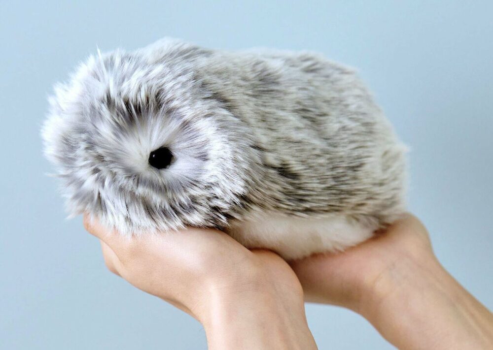 Moflin Dá sa kúpiť na Slovensku