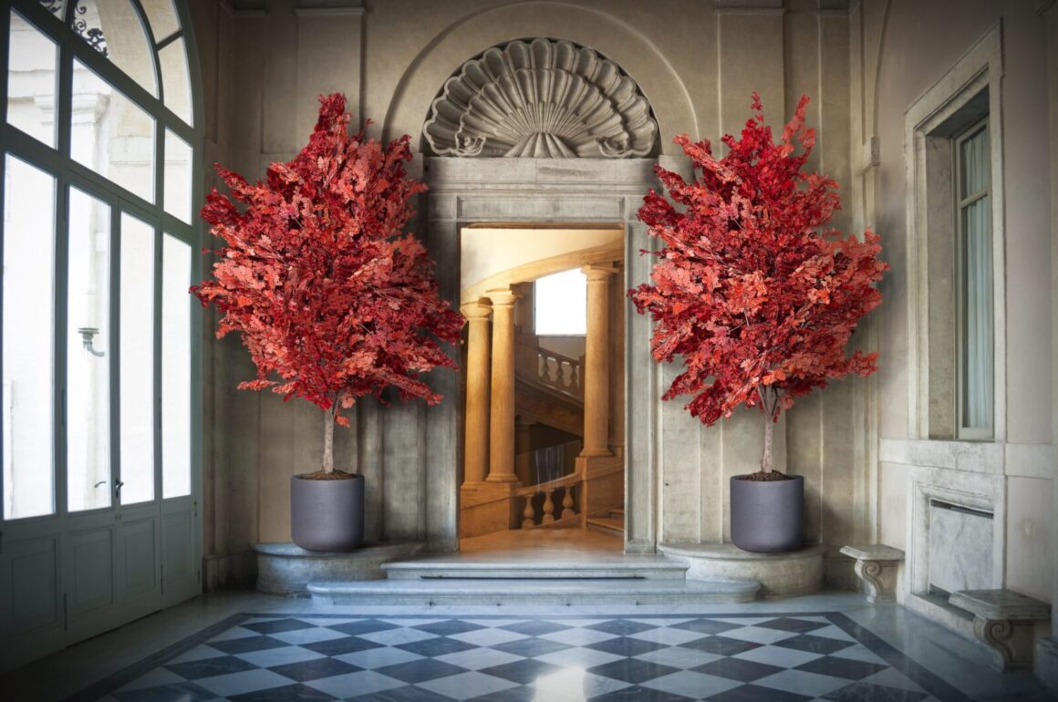 V čom spočíva stabilizácia rastlín