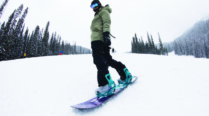 Cena snowboardovej dosky