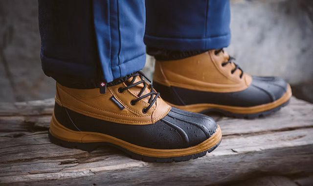 Vertigo Alpes – čo je to za spoločnosť?