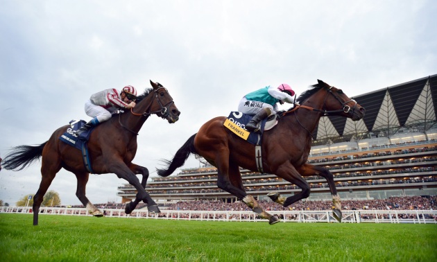 Frankel víťazí pred Cirrus Des Aigles 20 10 12 Foto Bill Selwyn