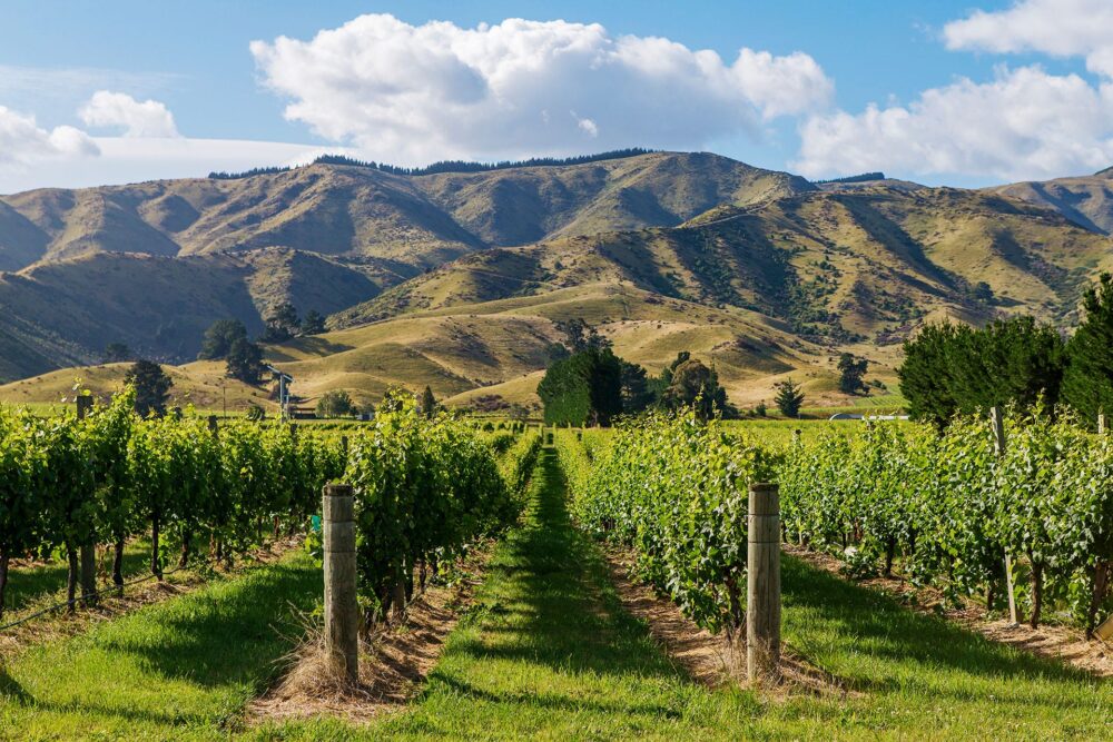 Región Marlborough Vinársky