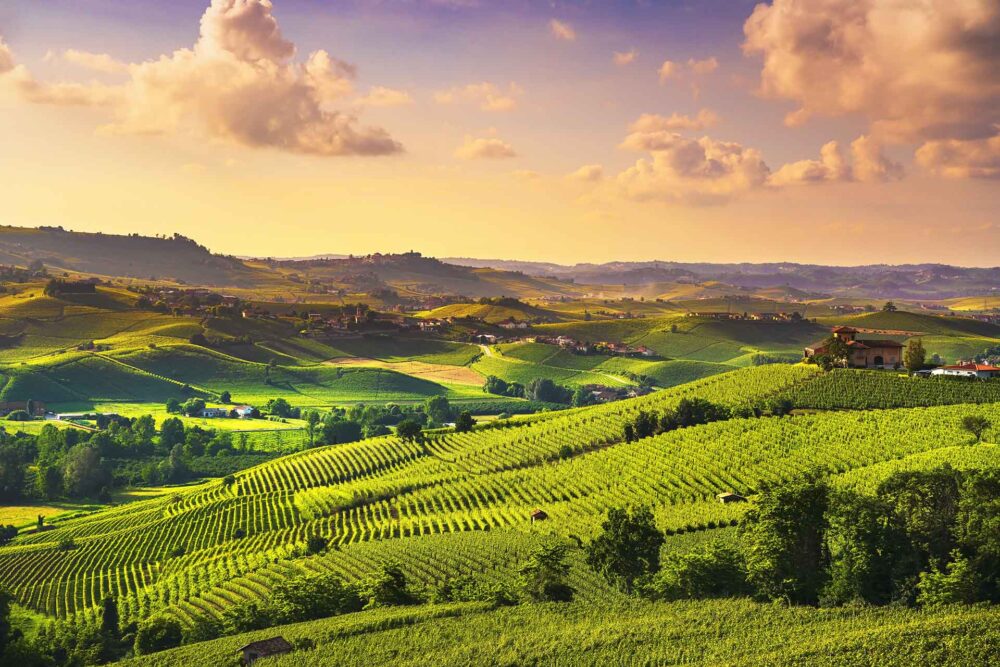 Panoráma viníc Langhe pri západe slnka, Barolo, Piemont, Taliansko, Európa