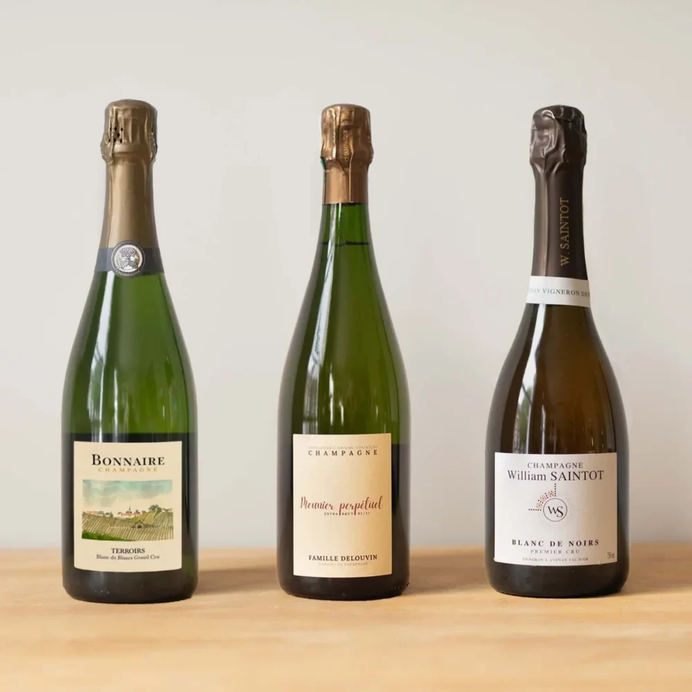 Blanc De Blancs vs Blanc De Noirs Rozdiely